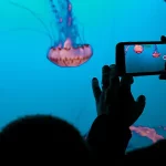 comment filmer avec un smartphone