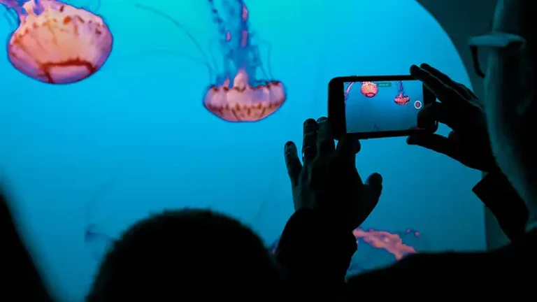 comment filmer avec un smartphone